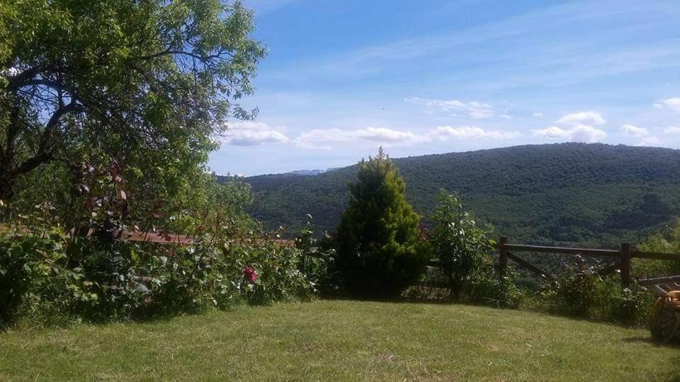 Notti Magiche Bed & Breakfast Castelvecchio Calvisio Luaran gambar
